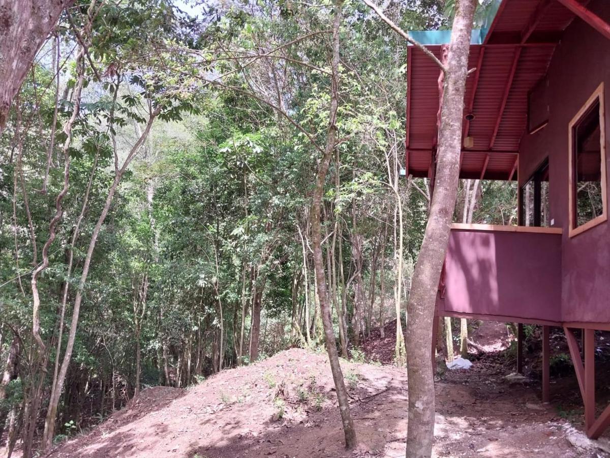 Curuba Lodge Copey Экстерьер фото
