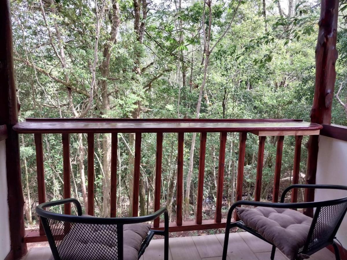 Curuba Lodge Copey Экстерьер фото