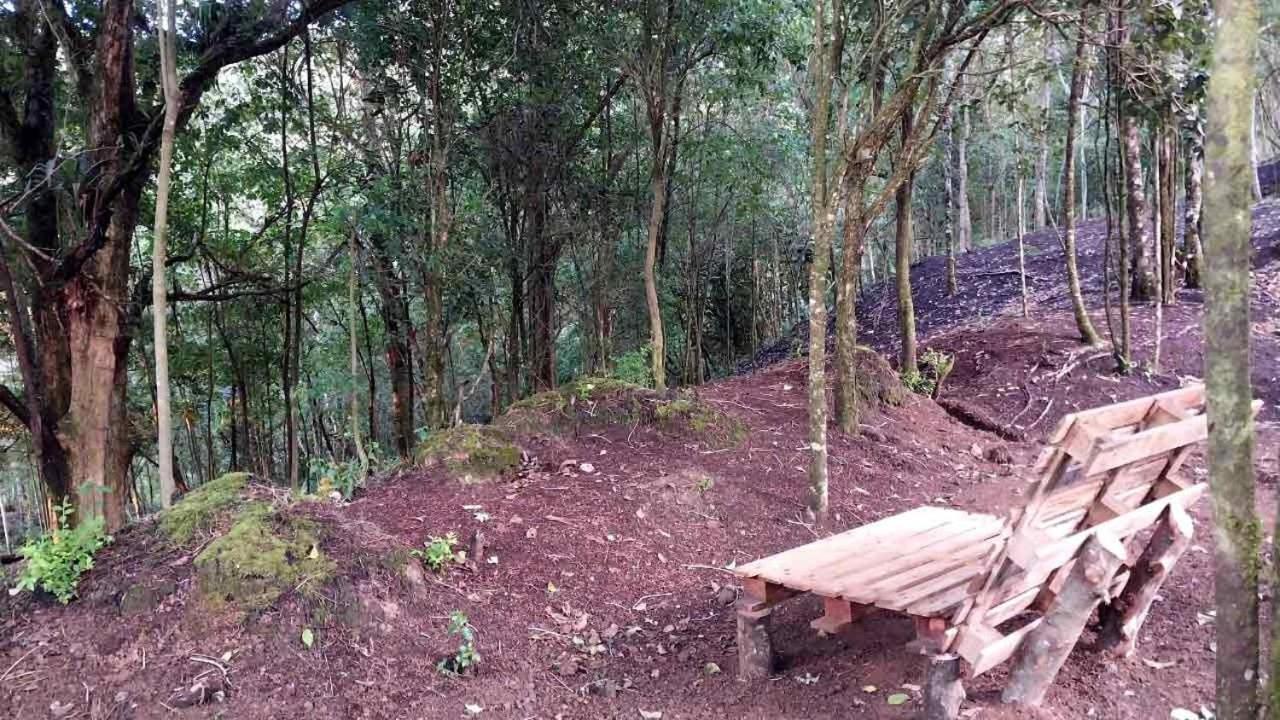 Curuba Lodge Copey Экстерьер фото