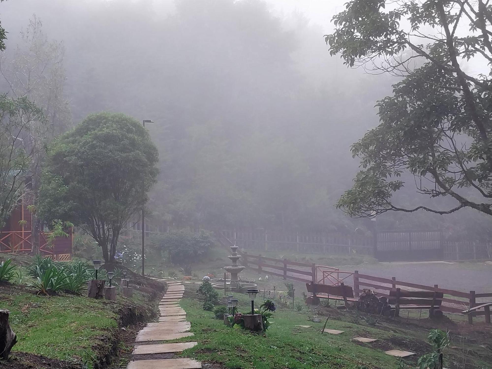 Curuba Lodge Copey Экстерьер фото
