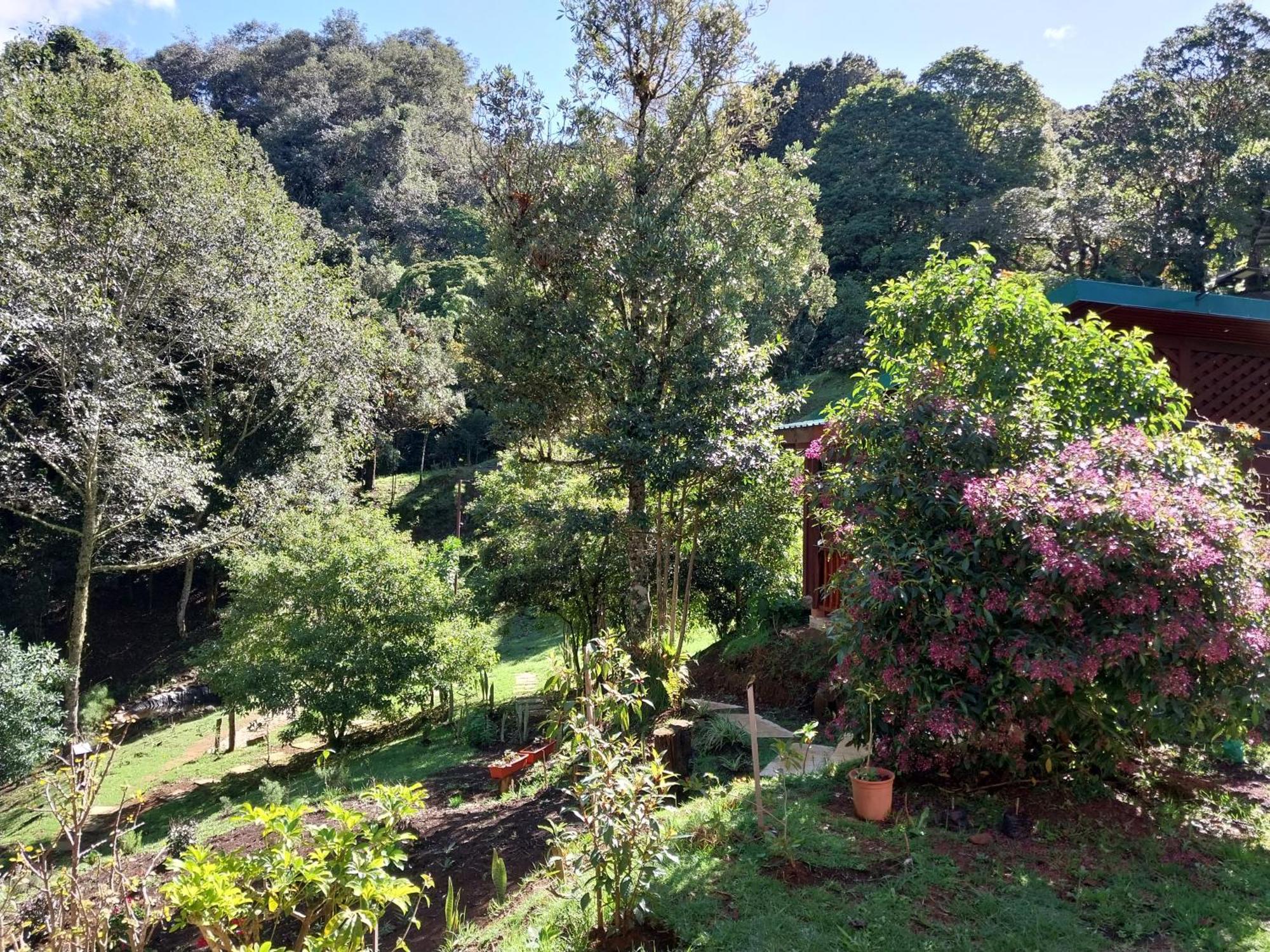 Curuba Lodge Copey Экстерьер фото