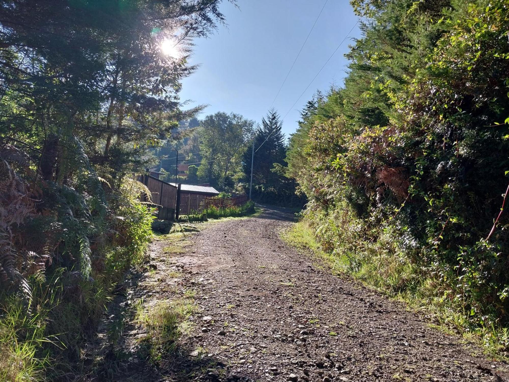 Curuba Lodge Copey Экстерьер фото