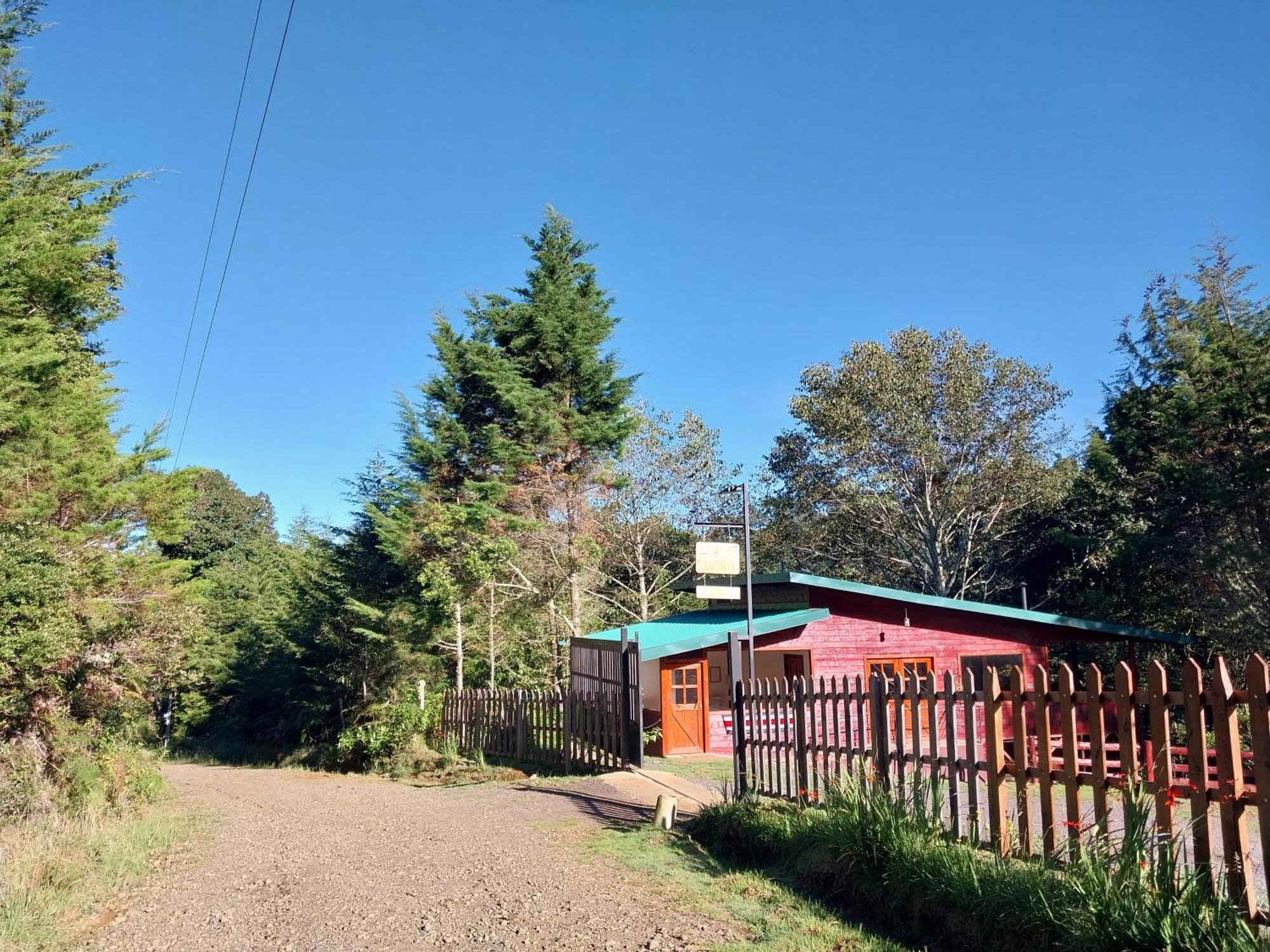 Curuba Lodge Copey Экстерьер фото