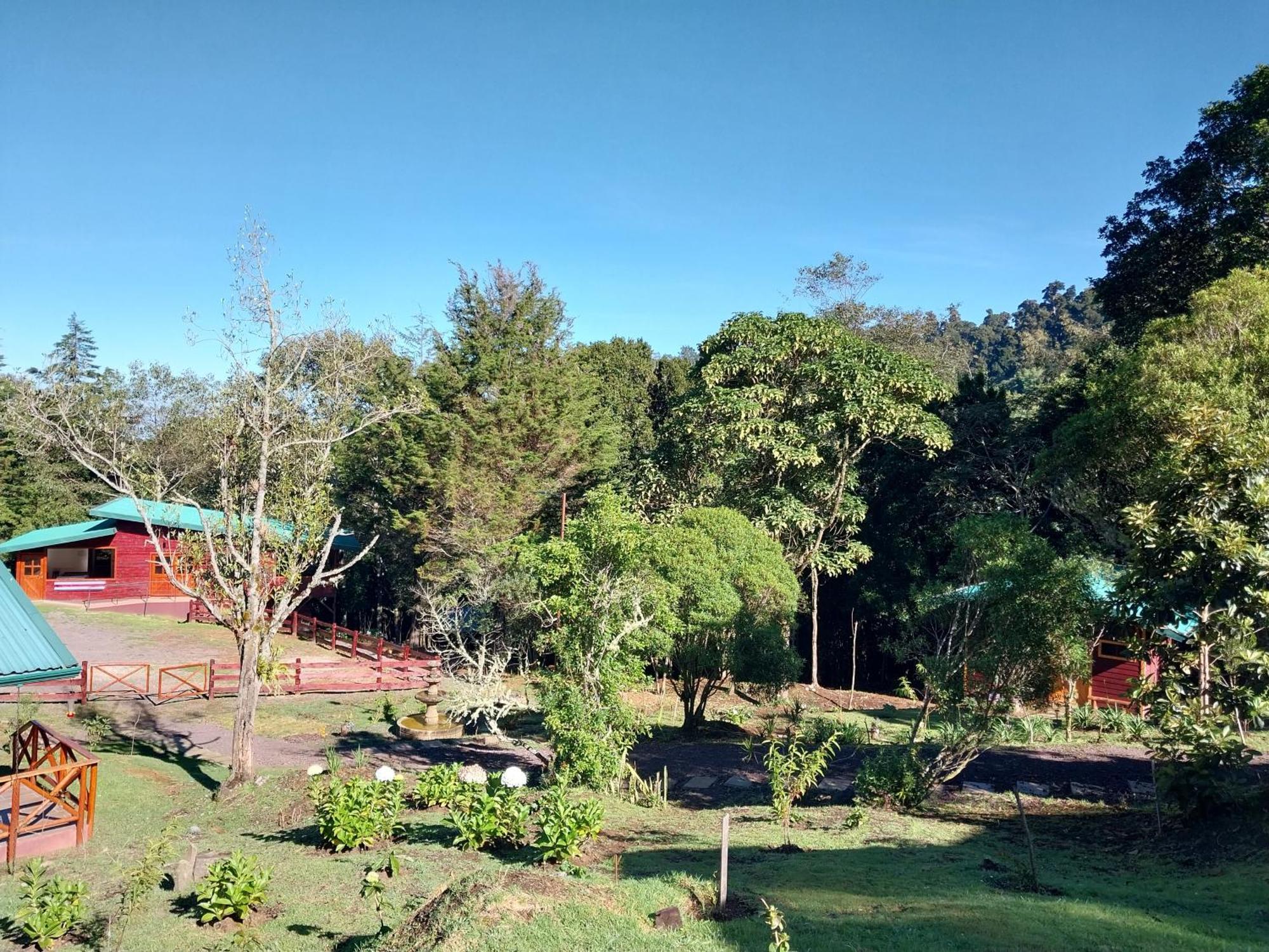 Curuba Lodge Copey Экстерьер фото