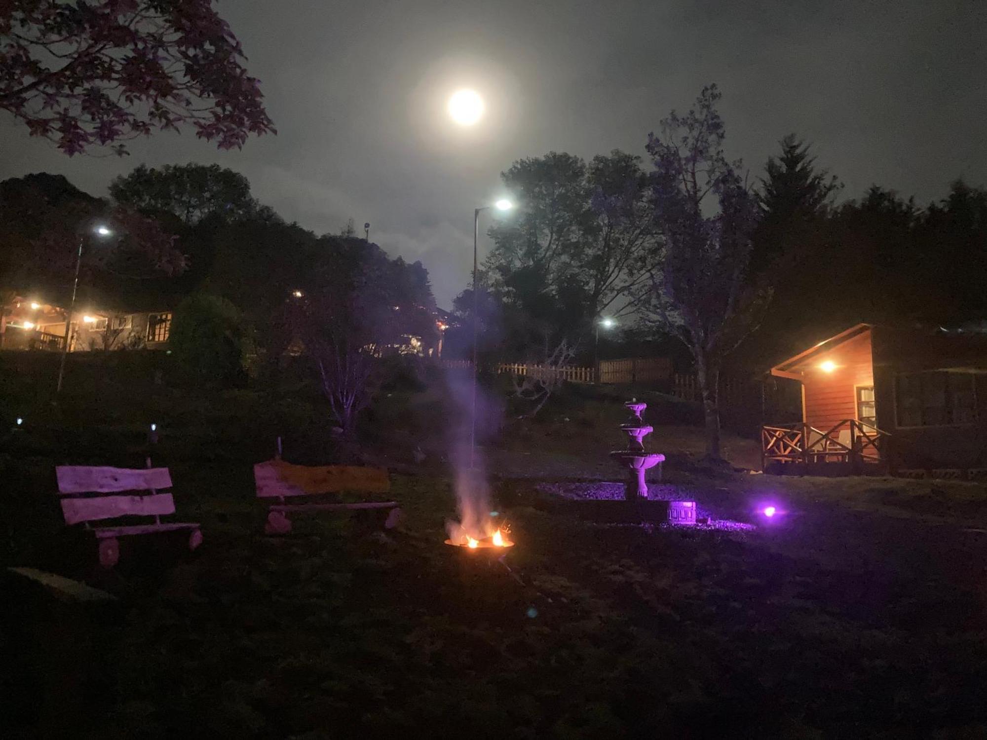 Curuba Lodge Copey Экстерьер фото