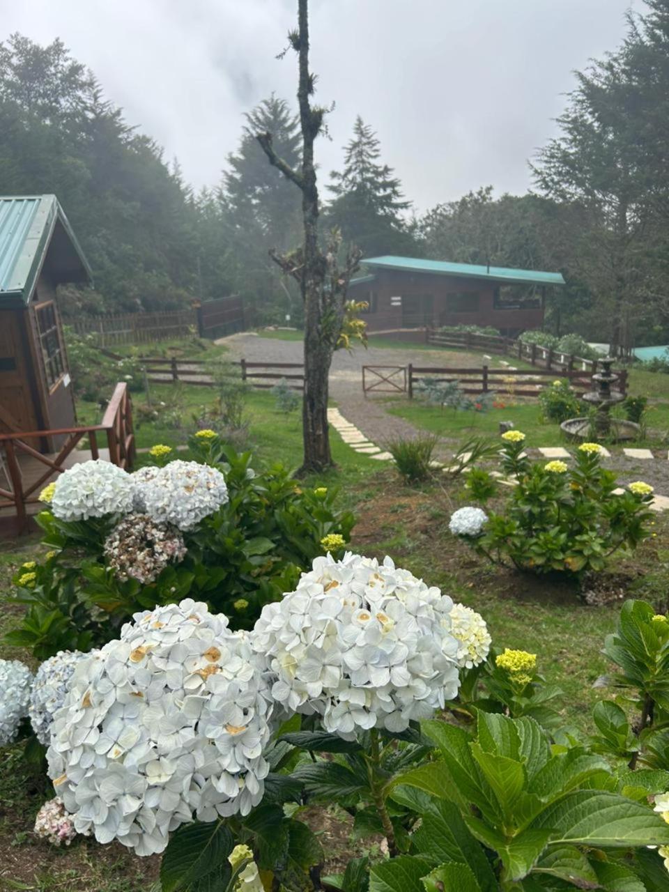 Curuba Lodge Copey Экстерьер фото