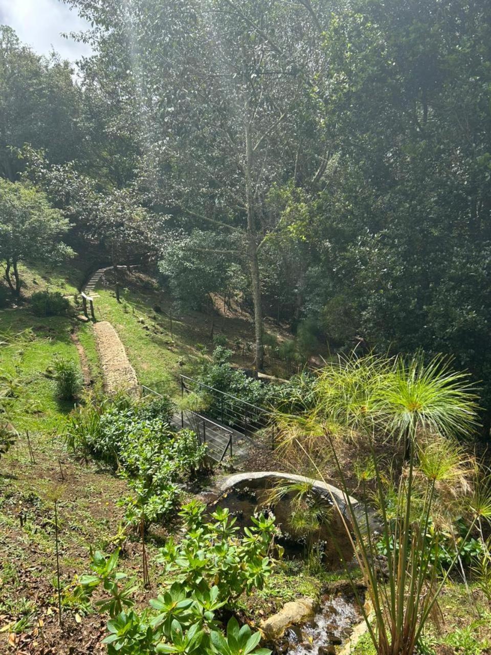 Curuba Lodge Copey Экстерьер фото