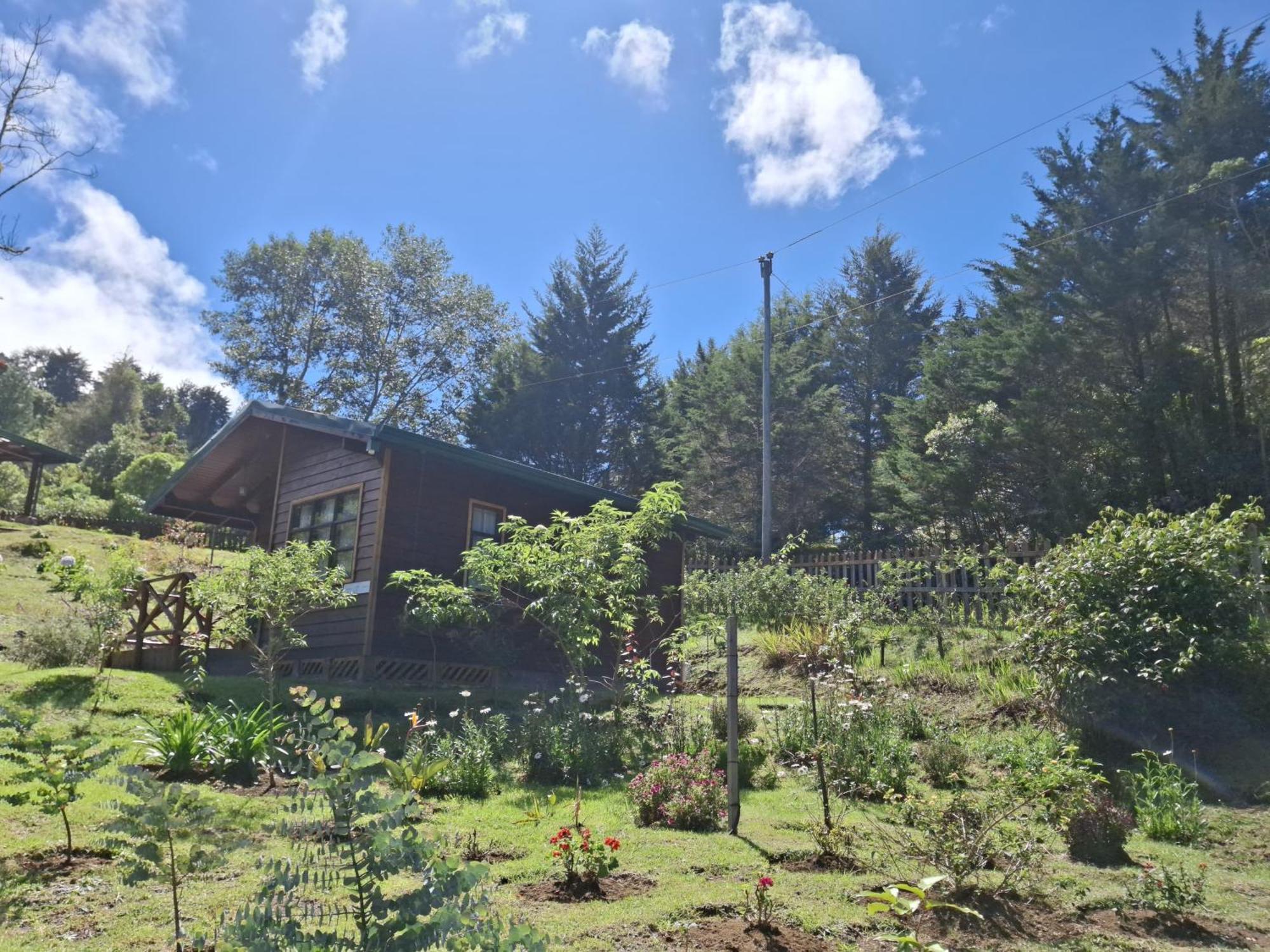 Curuba Lodge Copey Экстерьер фото