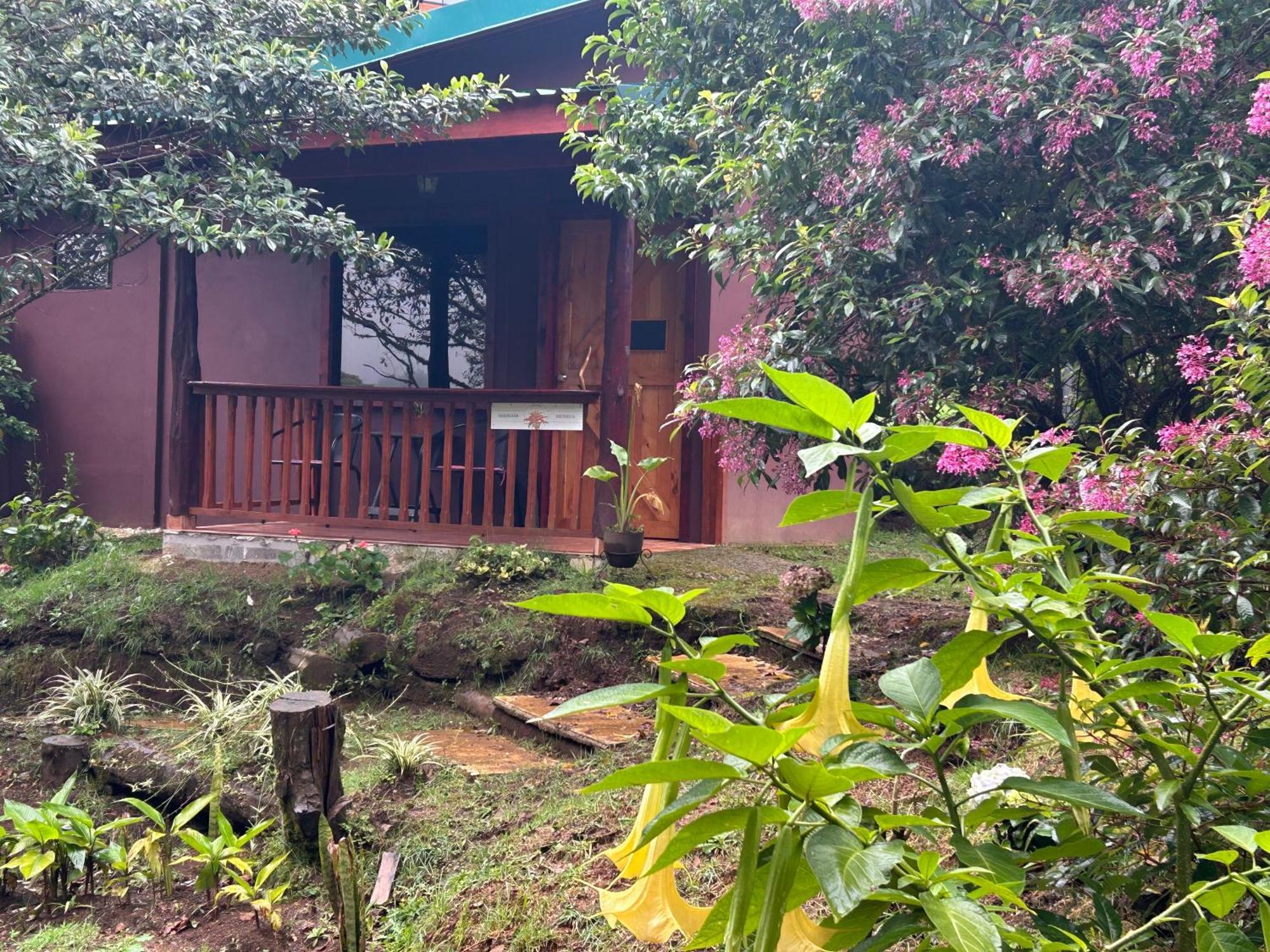 Curuba Lodge Copey Экстерьер фото