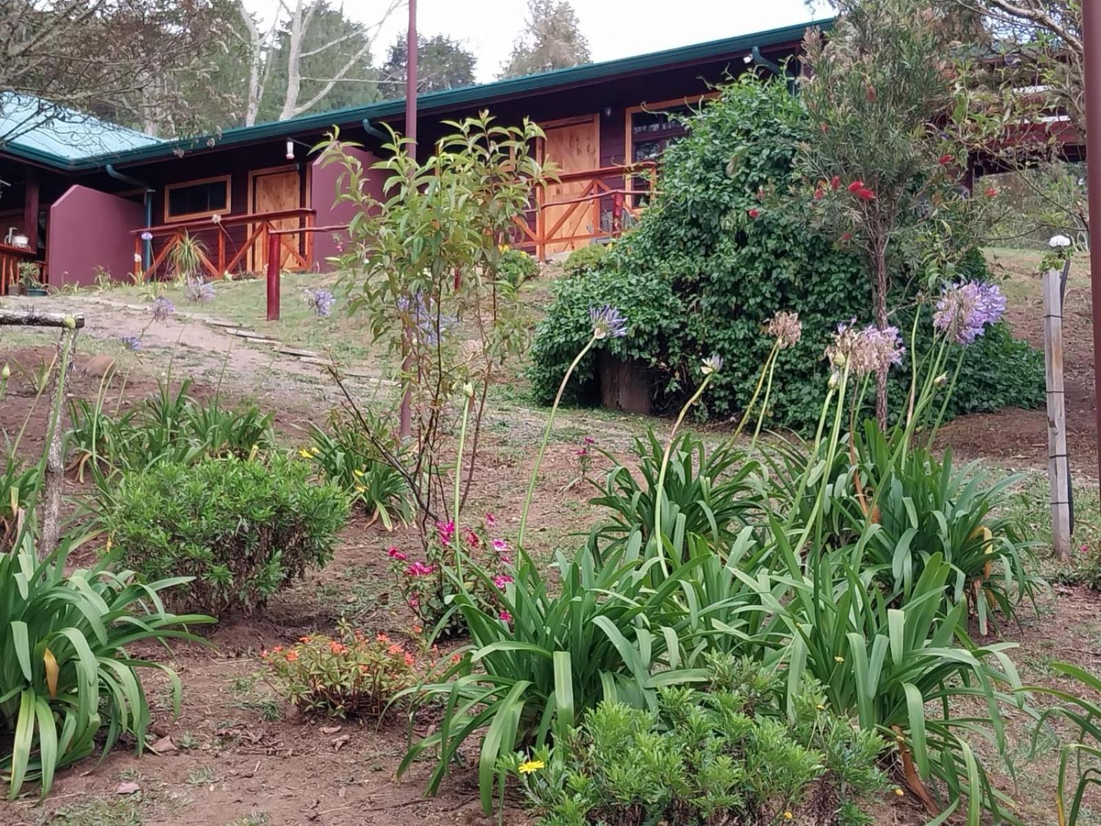 Curuba Lodge Copey Экстерьер фото