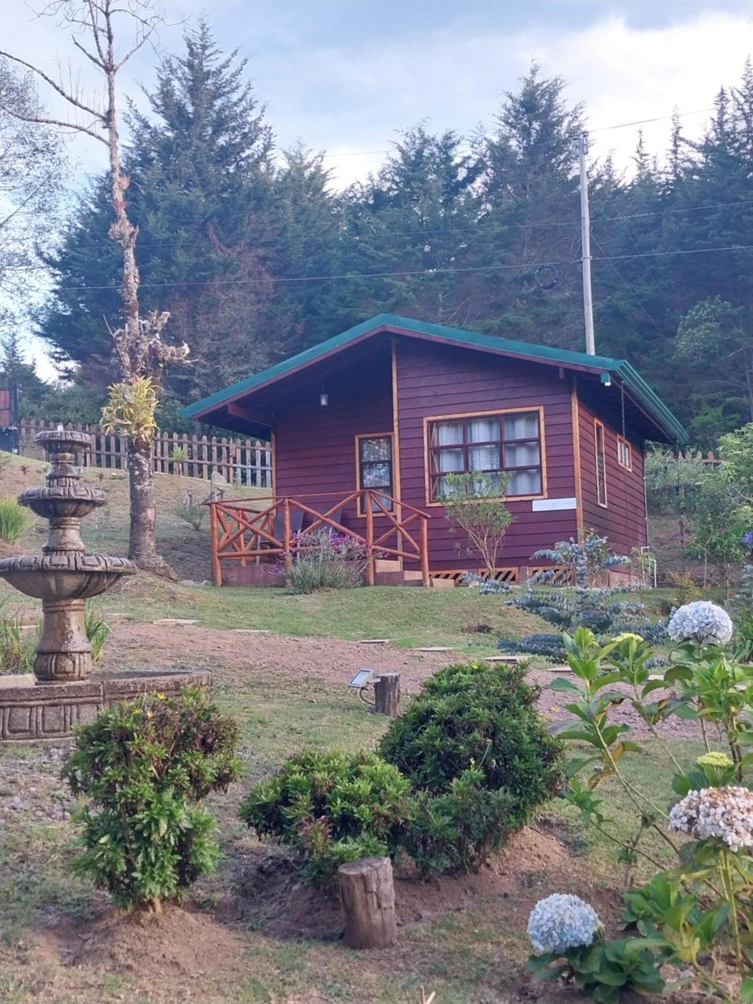 Curuba Lodge Copey Экстерьер фото