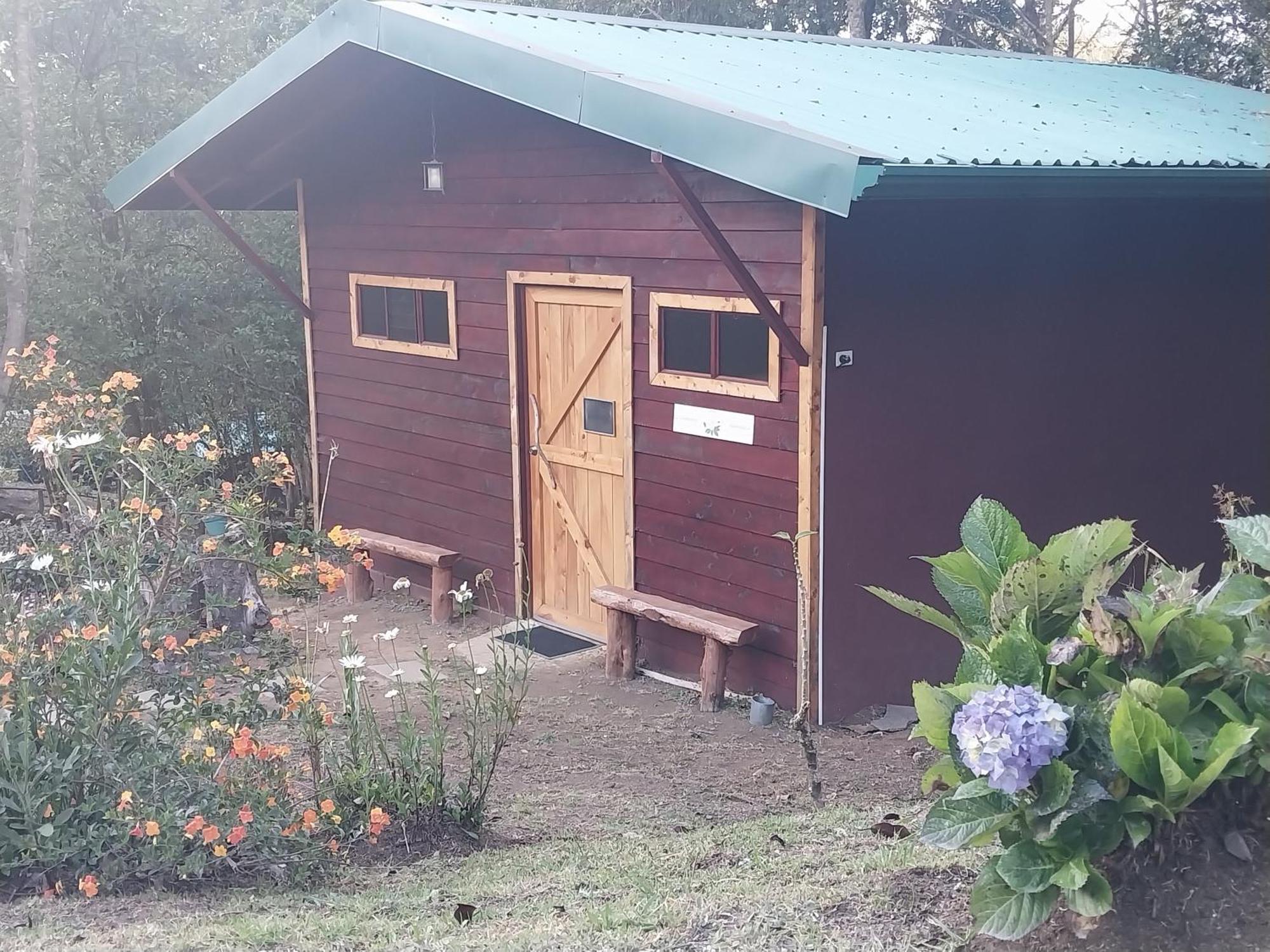 Curuba Lodge Copey Экстерьер фото